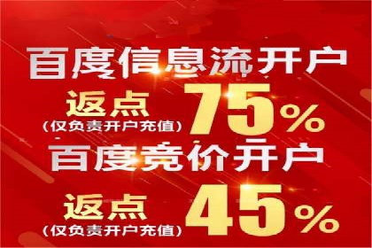 Sem优化公司成功案例：快速占领市场