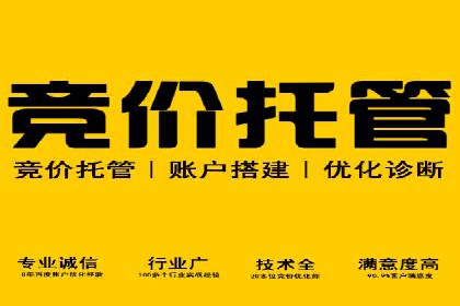 专业SEM账户托管成功案例分享
